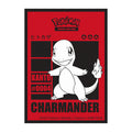 Pokemon - Charmander Kanto sleeves
