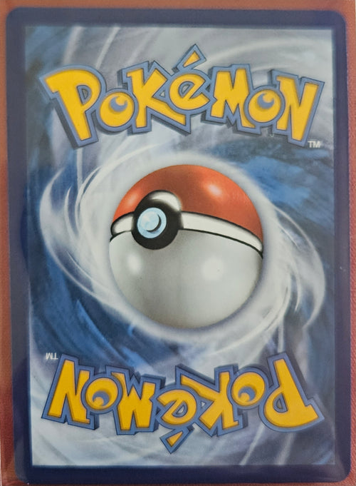 25th Anniversary Celebrations Charizard